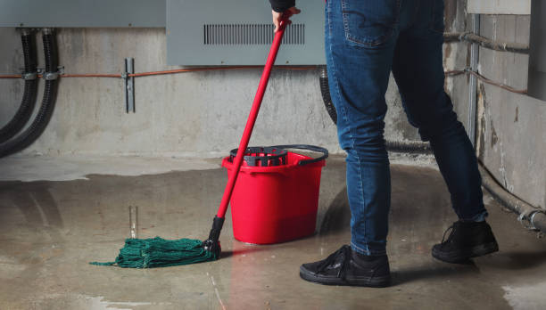 Carpet water damage restoration in Camden, OH