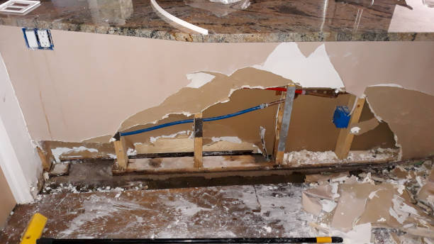 Best Carpet water damage restoration  in Camden, OH