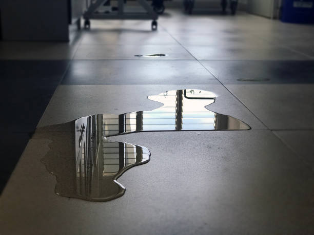 Water damage restoration process in Camden, OH