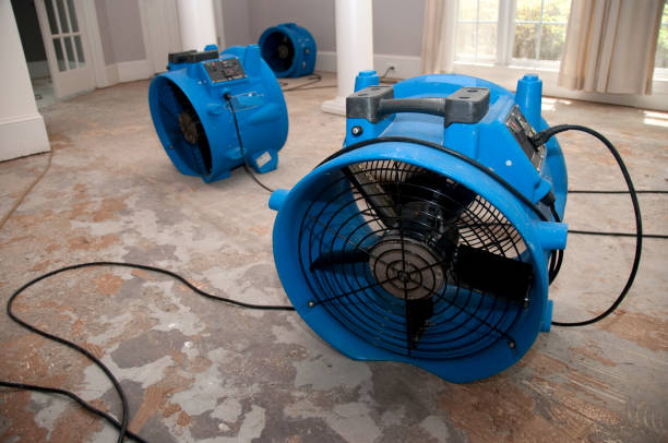 Best Commercial water damage restoration  in Camden, OH