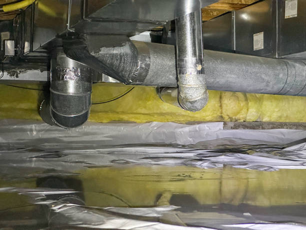 Best Water damage contractors near me  in Camden, OH