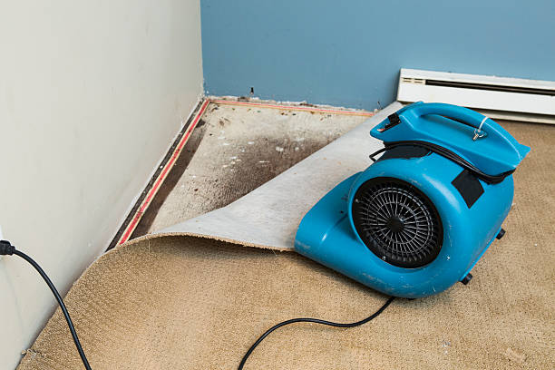 Best Emergency water damage restoration  in Camden, OH